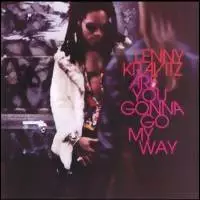 Lenny Kravitz Are You Gonna Go My Way - Pop & Rock LP - 1351 - 1