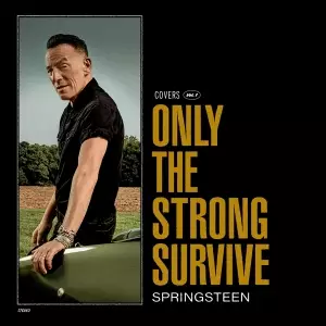 Springsteen, Bruce : Only the Strong Survive LP - Pop & Rock - 1241 - 1
