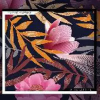 Kaisa's Machine : In the Key of K - Jazz & Blues CD - 1411 - 1