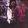 Lenny Kravitz Are You Gonna Go My Way - Pop & Rock LP - 1351 - 1