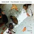 Schubert, Franz - Sonatas & Impromptus - Schiff, András - Klassinen CD - 741 - 1