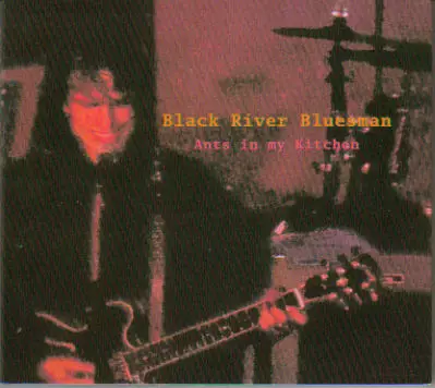 Black River Bluesman: Ants in My Kitchen (Käytetty CD) - Käytetyt - 2972 - 1