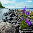 Klami, Uuno / Ylönen, Esa / Mantere, Sirkku : Landscape - pianistinen laajakuva - Klassinen CD - 1762 - 1