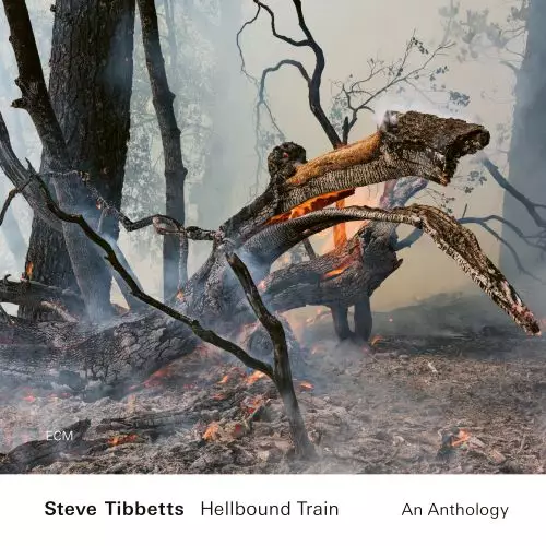 Tibbetts, Steve - Hellbound Train - An Anthology (2CD) - Jazz & Blues CD - 734 - 1