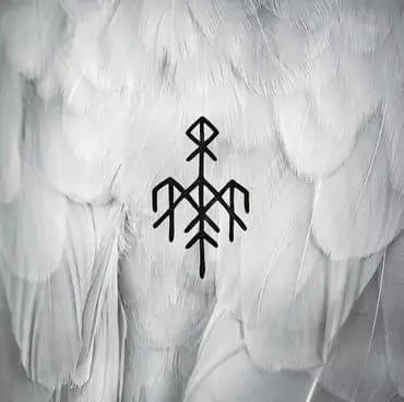 Wardruna: Kvitravn - First flight of the white raven (2 x CD) - Maailmanmusiikki CD - 2944 - 1