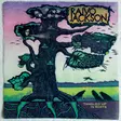 RAIVO JACKSON: Tangled Up in Roots (LP) - Pop & Rock - 2094 - 1