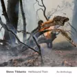 Tibbetts, Steve - Hellbound Train - An Anthology (2CD) - Jazz & Blues CD - 734 - 1