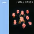 Human Organ - Alba products - 265 - 1