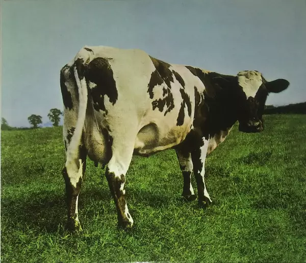 Pink Floyd : Atom Heart Mother - Pop & Rock CD - 1036 - 1