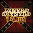 Lynyrd Skynyrd: Family KÄYTETTY CD - Pop & Rock CD - 2626 - 1