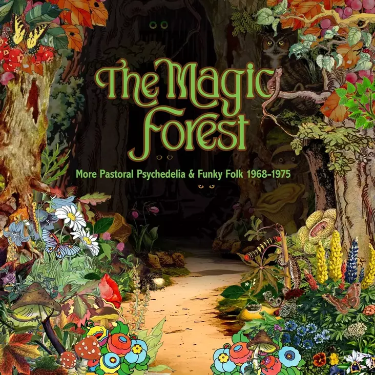 The Magic Forest - More Pastoral Psychedelia & Funky Folk 1968-1975 (SECOND-HAND 3CD) - Käytetyt - 2648 - 1