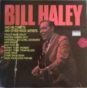 Bill Haley And his comets and other rock artists LP (KÄYTETTY) - Pop & Rock LP - 2929 - 1