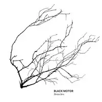 Black Motor: Branches CD - Jazz & Blues CD - 1379 - 1