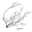 Black Motor: Branches CD - Jazz & Blues CD - 1379 - 1