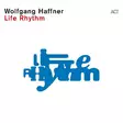 Haffner, Wolfgang - Life Rhythm (LP) - Jazz & Blues LP - 589 - 1